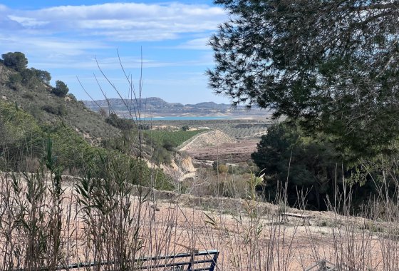 Reventa - Finca - Torremendo