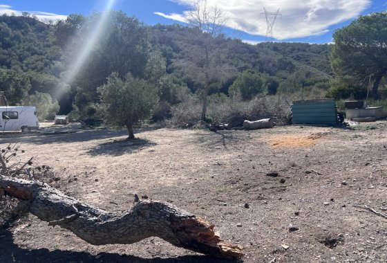 Reventa - Finca - Torremendo