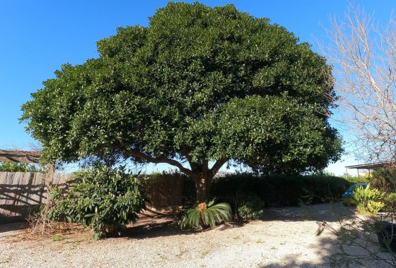 Reventa - Country House - Orihuela