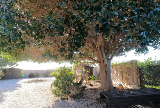 Reventa - Country House - Orihuela