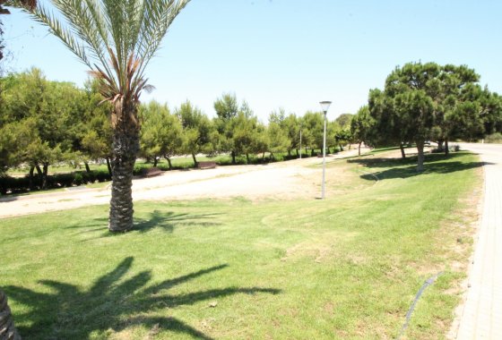 Reventa - Apartamento - Torrevieja - Punta Prima