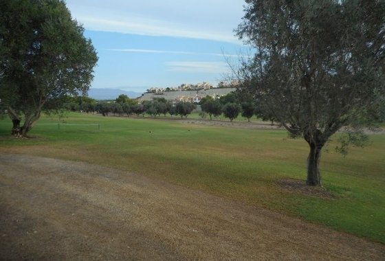 Re-Sale - Detached Villa - Algorfa