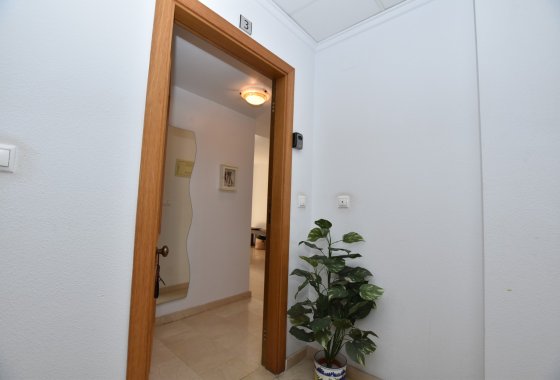 Reventa - Apartamento - Algorfa