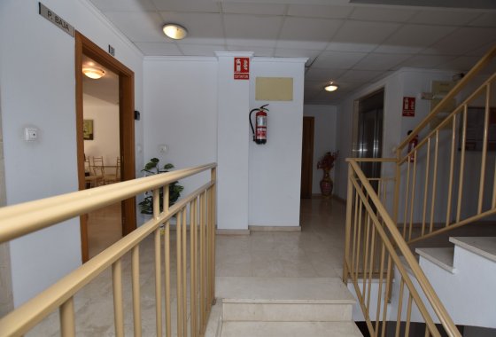 Reventa - Apartamento - Algorfa