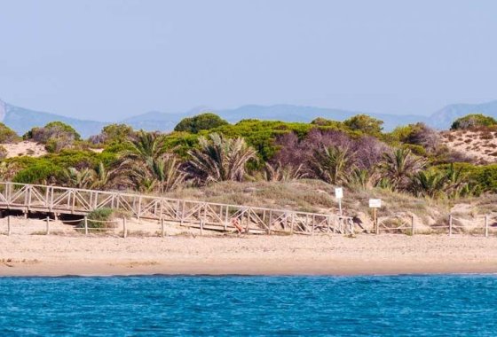 Nueva construcción  - Apartamento - Guardamar del Segura - Pueblo