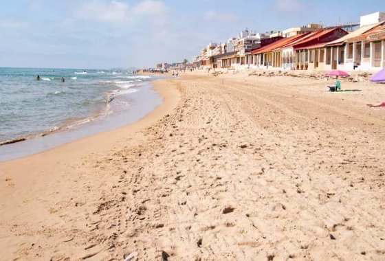 Nueva construcción  - Apartamento - Guardamar del Segura - Pueblo