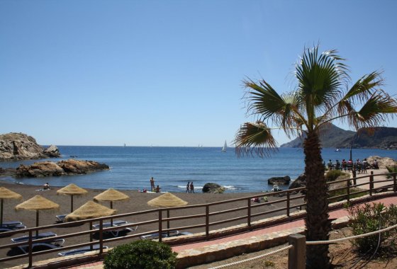 Nueva construcción  - Duplex - La Union - centro