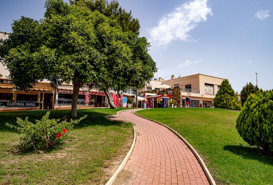 Reventa - Apartamento - Playa Flamenca - Zenia Mar