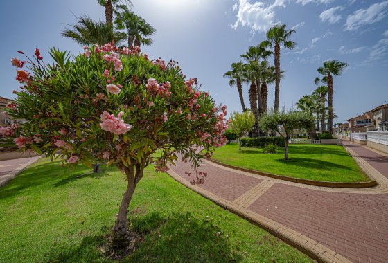 Reventa - Apartamento - Playa Flamenca - Zenia Mar